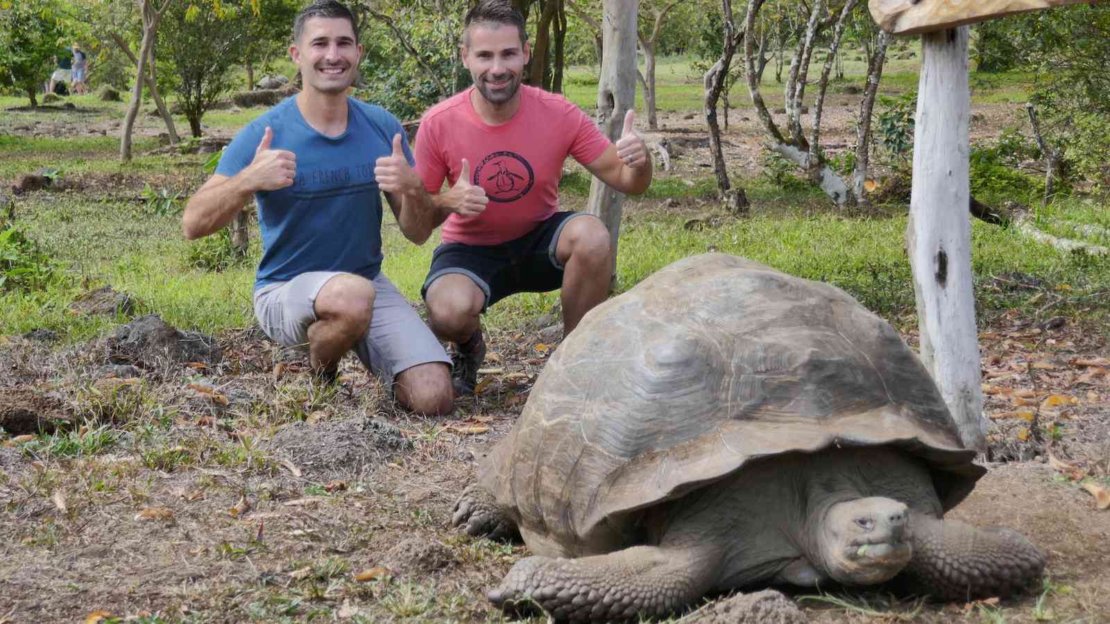 The biggest species of tortoise in the world is the Galapagos Tortoise from the Galapagos Islands