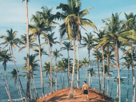 Coconut Tree Hill is a private coconut plantation that's a lovely walk in Mirissa