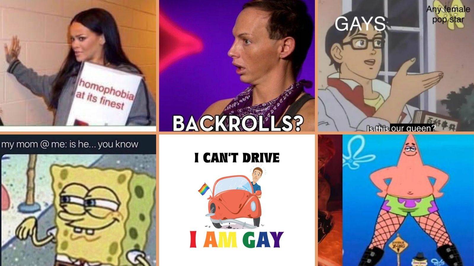 your gay memes