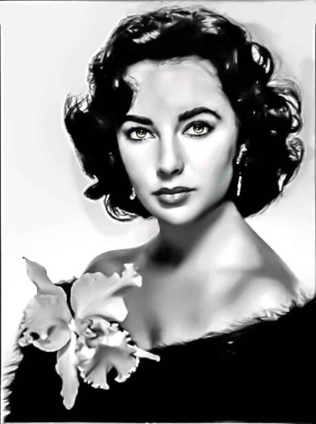 Elizabeth Taylor was an actress famous for many marriages and also a staunch gay ally and AIDS activist