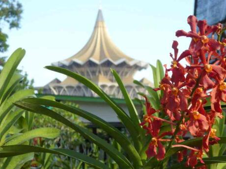 If you want to see pretty flowers in Kuching then you definitely need to visit the Sarawak Orchid Gardens