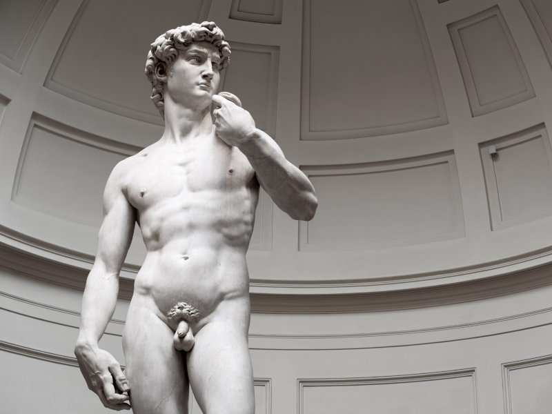 A mid-shot of Michelangelo's statue of David in Florence, as seen from the knees up.