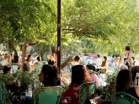Lots of people sitting at outdoor tables under greenery at Ble Papagalos cafe in Athens.