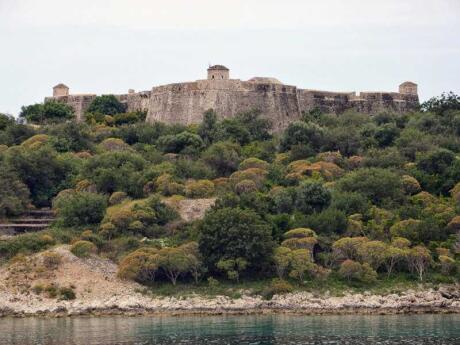 Castle fortifications rising up from behind bushes on a small hill next to water.
