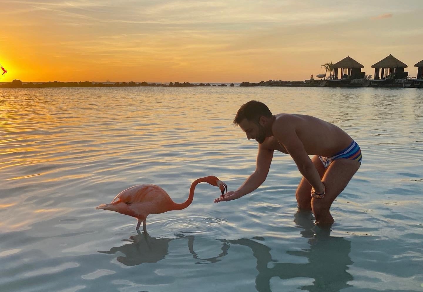 Turkish guy Saf with flamingo at beach.
