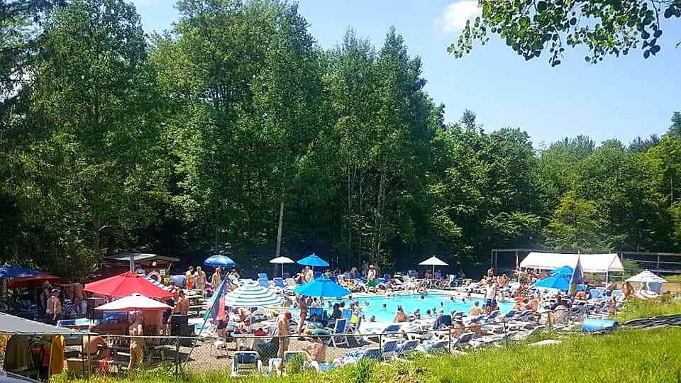 A crowded swimming pool surrounded by trees on a sunny day, seen from a slight distance.