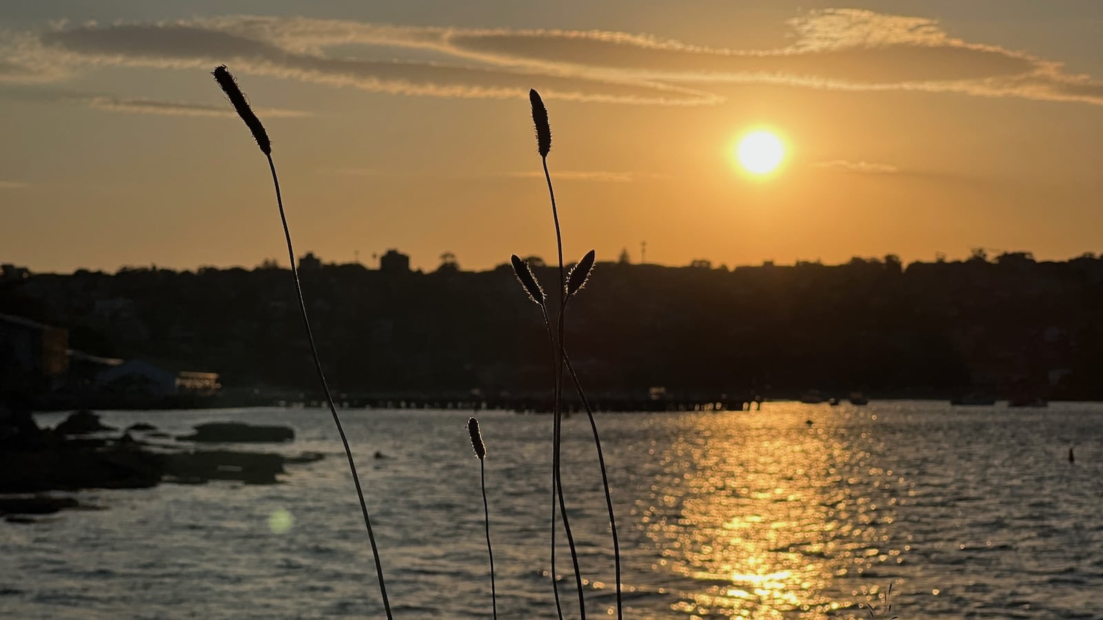 Beach sunset in Sydney.