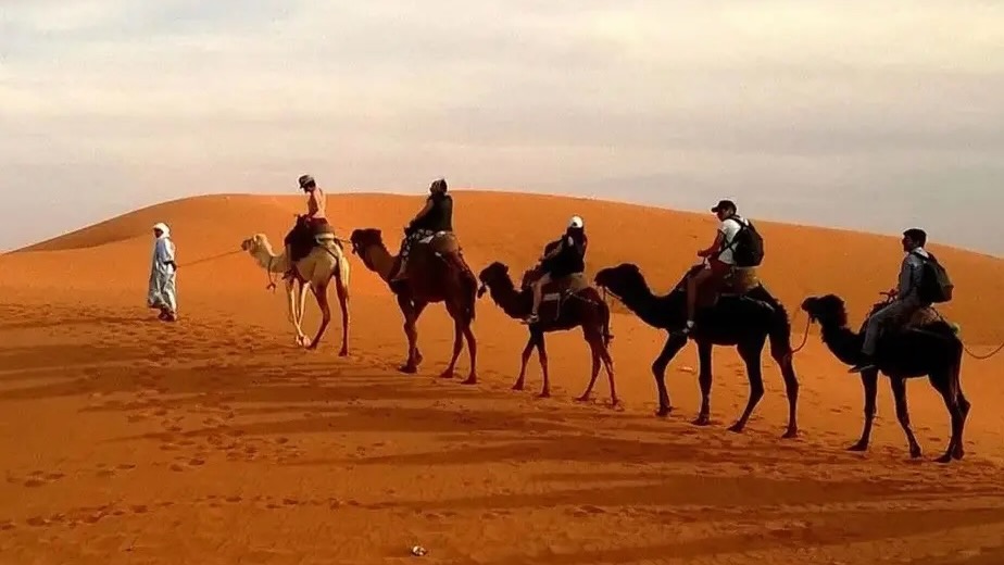 Gay men doing a camel ride through the sand dunes of Maspalomas in Gran Canaria.