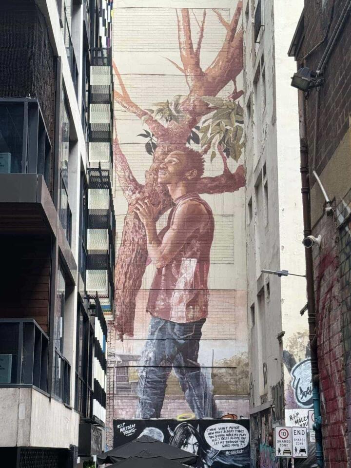 Beautiful street art mural in Melbourne.