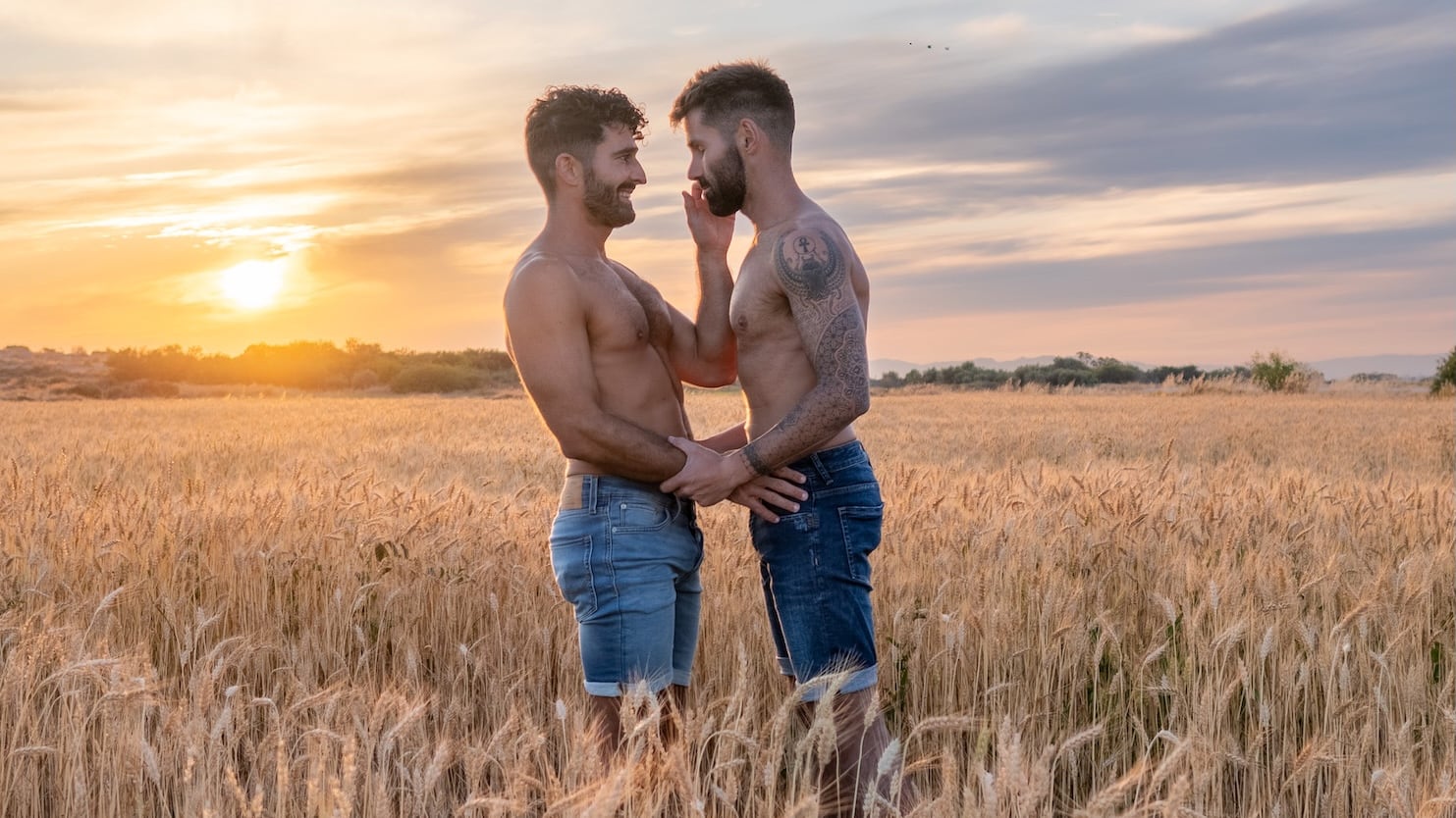 Gay couple embracing at sunset in a wheat field.