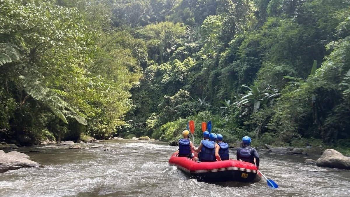 Rainforest rafting on Naked Paradise Villa experience with Everything To Sea.