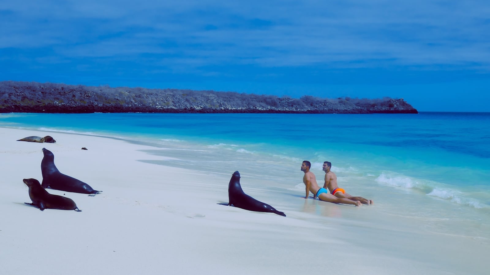 Gay couple doing yoga on Galapagos beach with sea lion pups.