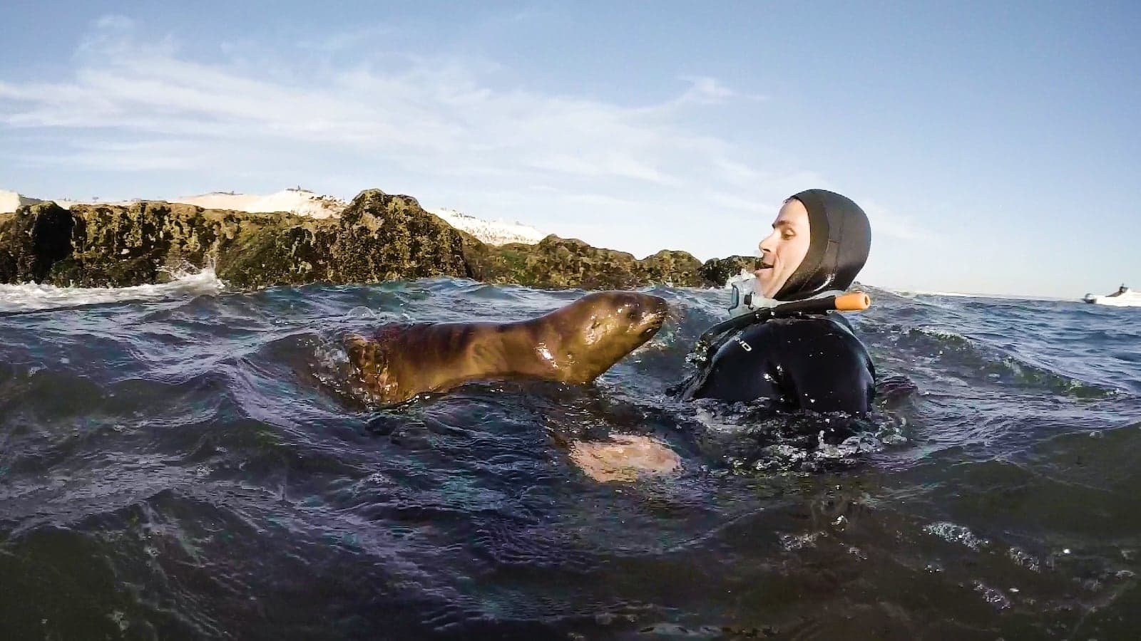 Seby swimming with sea lion pup in the Galapagos Islands.