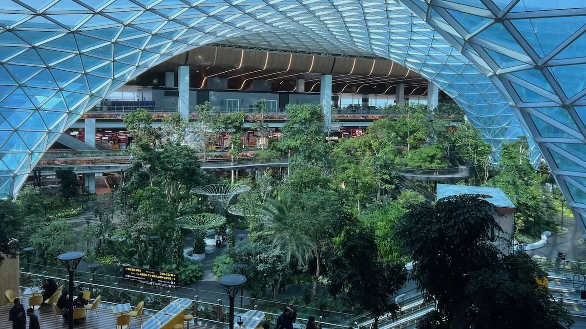 A massive indoor rainforest with an arched glass roof above it all.